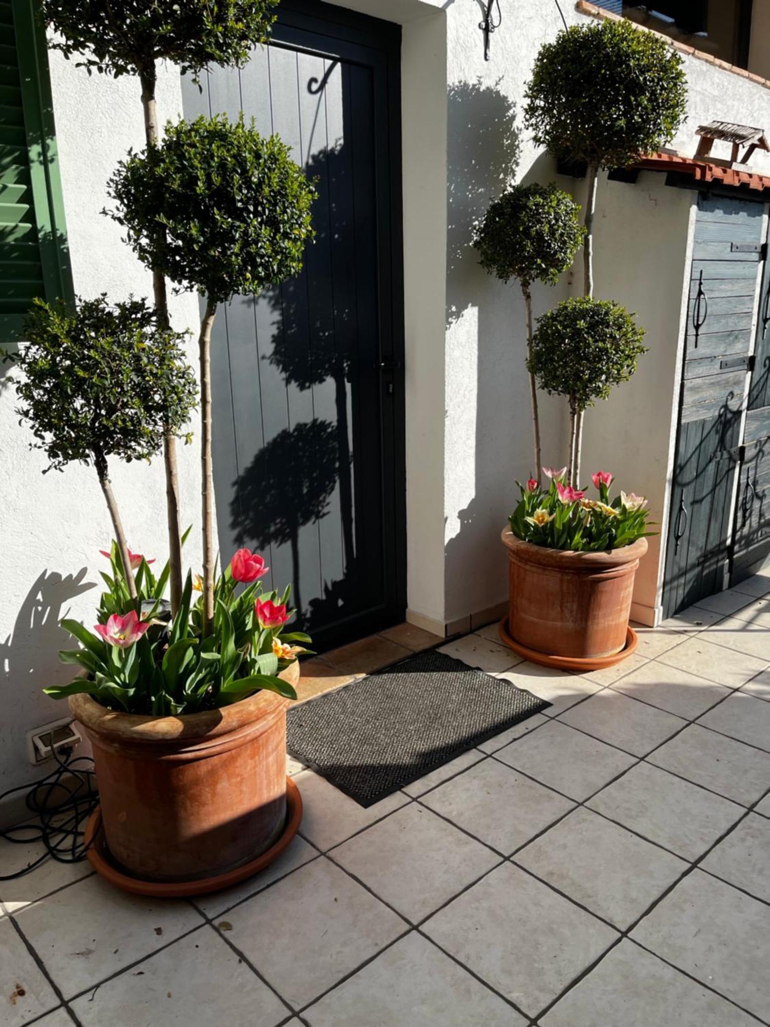 Skylark Bed & Breakfast Grasse Esterno foto