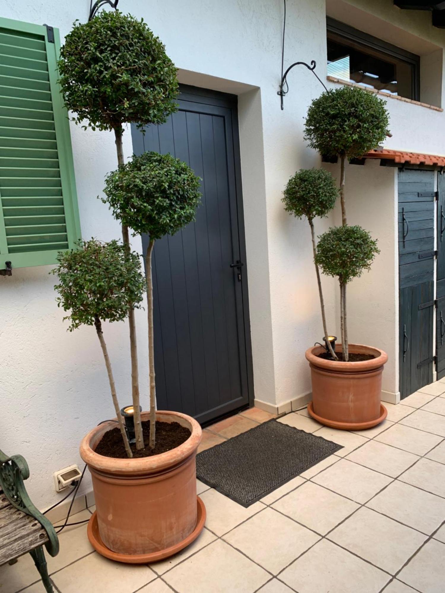 Skylark Bed & Breakfast Grasse Esterno foto