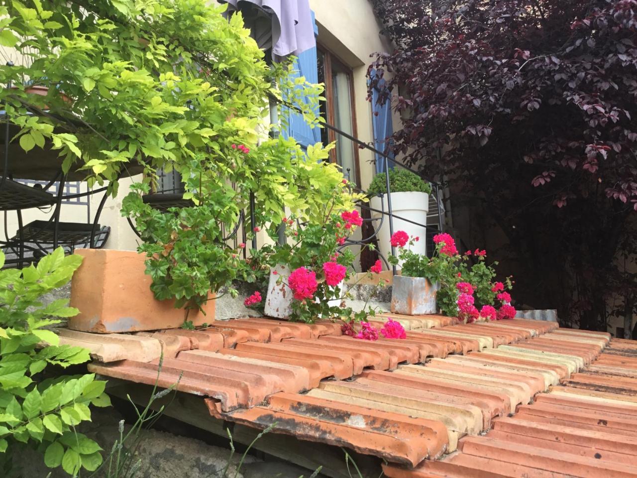 Skylark Bed & Breakfast Grasse Esterno foto