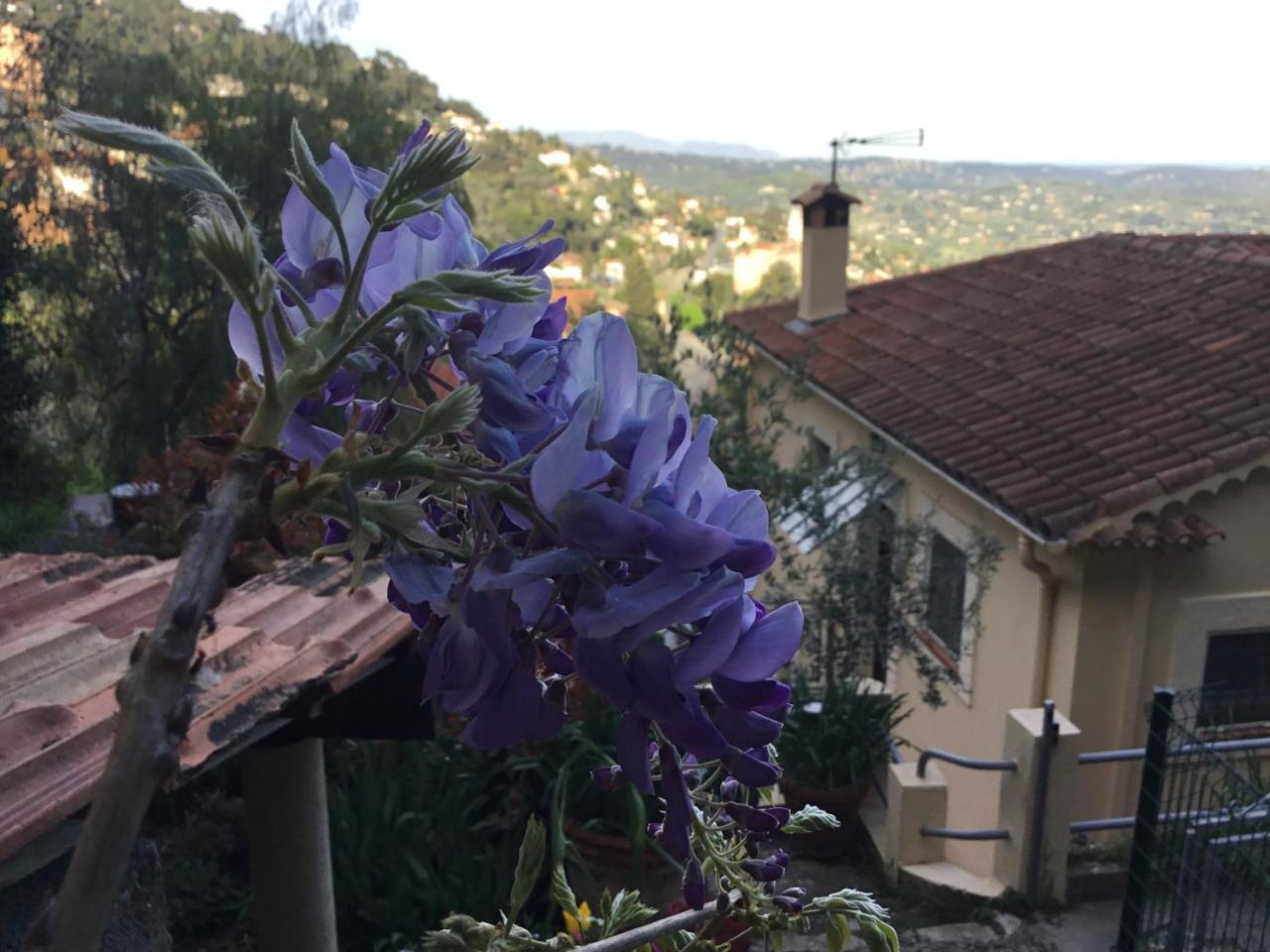 Skylark Bed & Breakfast Grasse Esterno foto