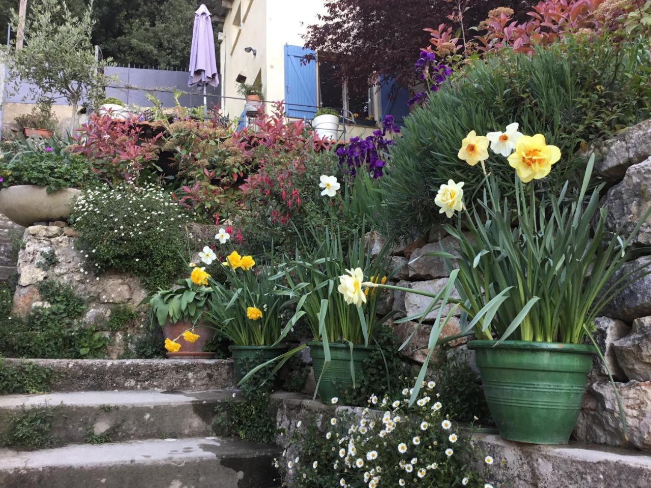 Skylark Bed & Breakfast Grasse Esterno foto