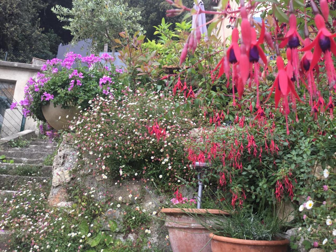 Skylark Bed & Breakfast Grasse Esterno foto