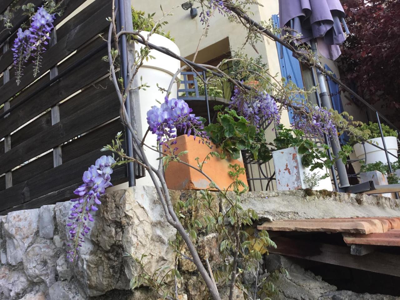 Skylark Bed & Breakfast Grasse Esterno foto